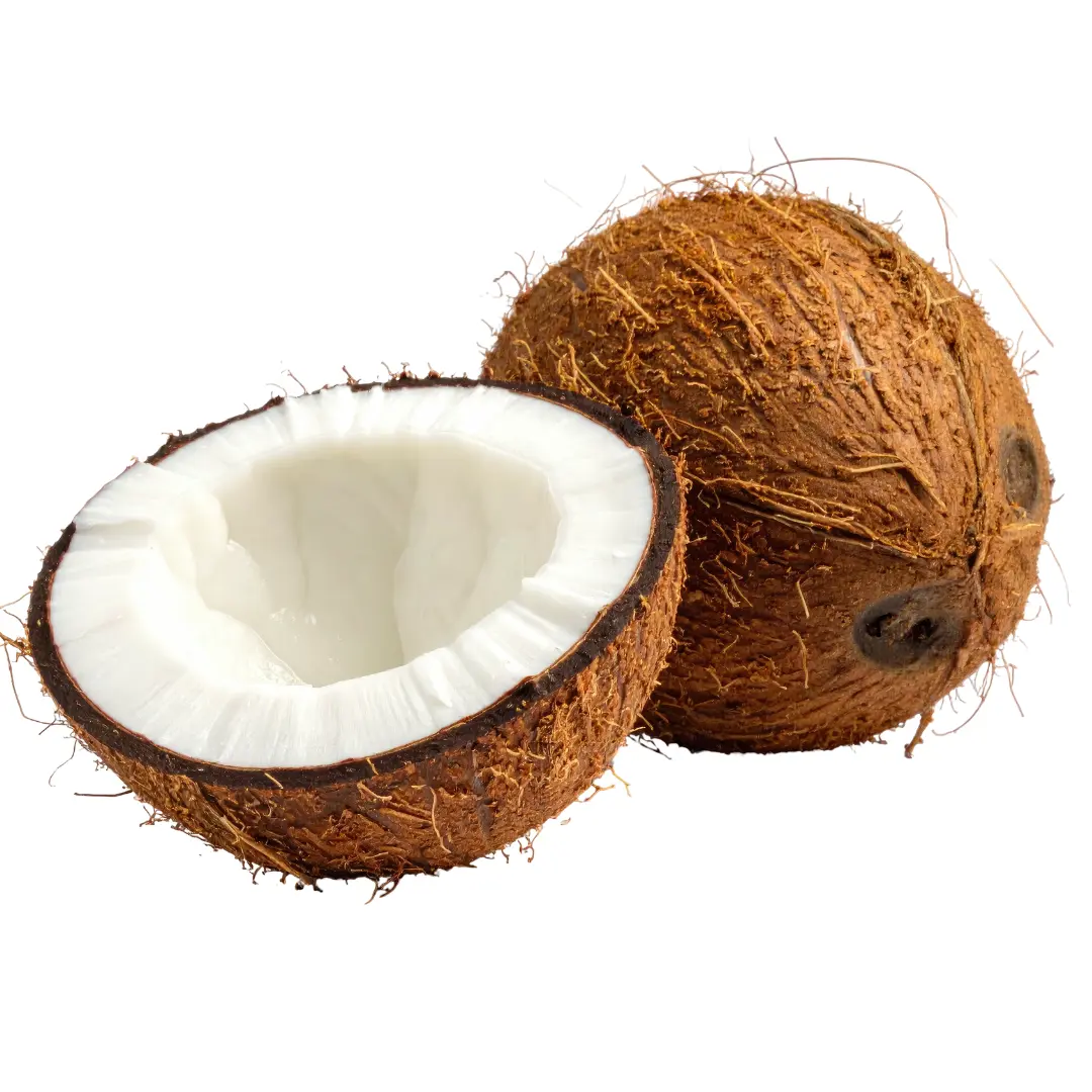 coconut