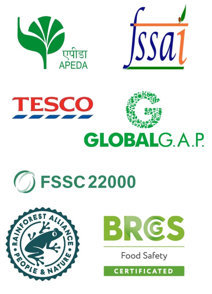 import export certifications logo